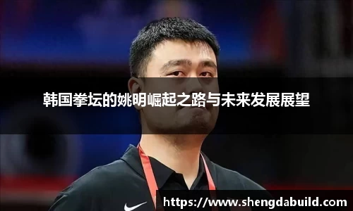韩国拳坛的姚明崛起之路与未来发展展望