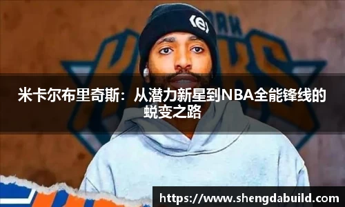好博体育
